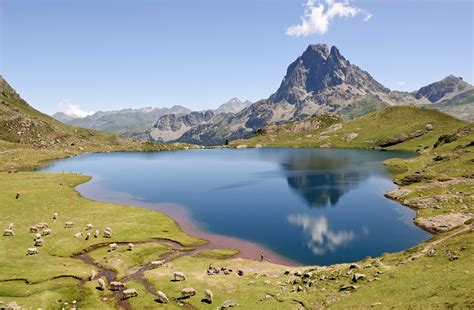 Pyrénées .
